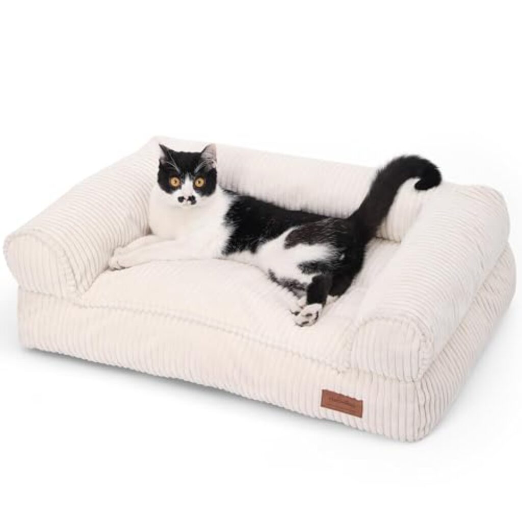 FUKUMARU Katzensofa Bett, Corduroy Gemütliches Katzenbett für drinnen mit abnehmbarem waschbarem Bezug, Stützendes Anti-Rutsch Hundebett Sofa für kleine Hunde, 72 x 52 x 22 cm, Mittel, Creme