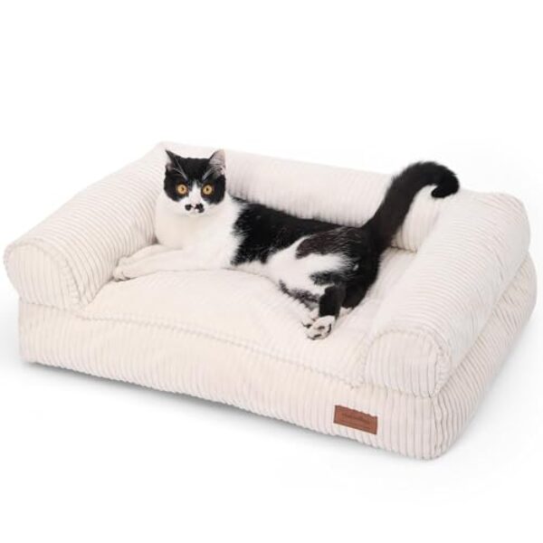 FUKUMARU Katzensofa Bett, Corduroy Gemütliches Katzenbett für drinnen mit abnehmbarem waschbarem Bezug, Stützendes Anti-Rutsch Hundebett Sofa für kleine Hunde, 72 x 52 x 22 cm, Mittel, Creme