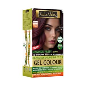 Indus Valley Natural Organic Damage Free Gel Hair Color | Ammonia Free, Vegan & Cruelty Free | Up to 100% Gray Coverage, Long Lasting Results |Burgundy (20gram+200ml)
