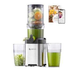 AMZCHEF Entsafter – Slow Juicer mit 120MM Breite und Größere Fütterungsröhre für Ganze Gemüse und Obst – Leicht zu Reinigender Entsafter mit 2 Gläsern – Silbrig