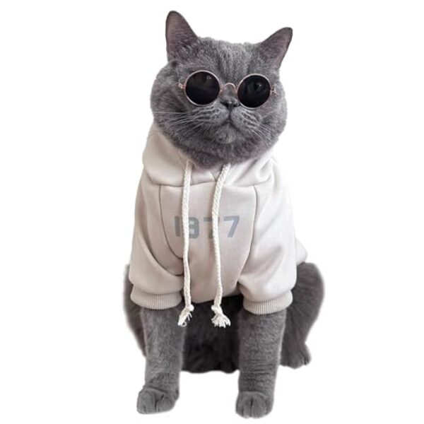 KASESSS Katzenbekleidung, Sweatshirt Kostüm Für Katzen, Katzenbody mit Kapuze, Langärmlige Katzen Kleidung, Cat Clothing mit Dünnem Fleece, Katzens-Winterkleidung für Katzens Kleine Hunde Aprikose M
