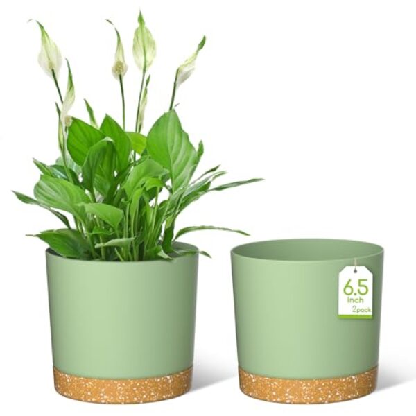 ZMTECH Blumentopf 16,5 cm Durchmesser übertöpfe für zimmerpflanzen, Kunststoff blumentöpfe mit Untersetzer und Abflusslöchern, Rund pflanztöpfe für Innen Außen Pflanzen(2er-Set, Grün)