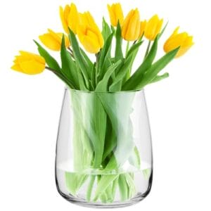 TREND FOR HOME Glasvase groß H: 22,7 cm Vase für Pampasgras Glas, Blumenvase für Pampasgras, Vasen Glas für Hochzeitstulpen Weite Öffnung, Ø 19 cm, Zinnie