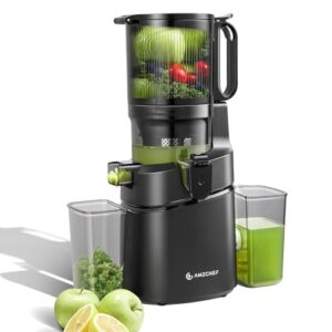 AMZCHEF 250W Automatischer All-In-One Entsafter, 145MM Öffnung und 1,8L entsafter für Gemüse und Obst, Entsafter Slow Juicer Testsieger mit Dreifachem Filter – Schwarz