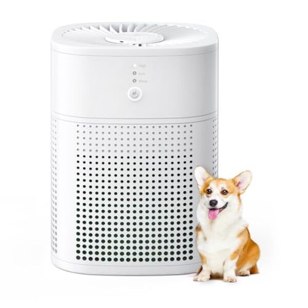 MERONTE Luftreiniger Allergiker mit Aromatherapie, Air Purifier für Raucherzimmer, Luftreiniger mit HEPA Luftfilter gegen 99,97 Prozent Schimmel Staub Pollen Tierhaare, 24dB, Weiß, 1 Pack+3 Modi