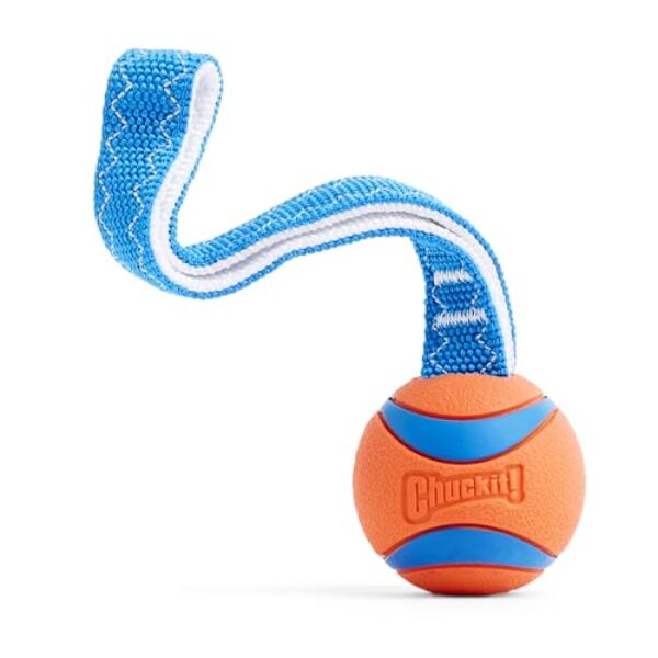 Chuckit! CH231201 Ultra Tug Medium