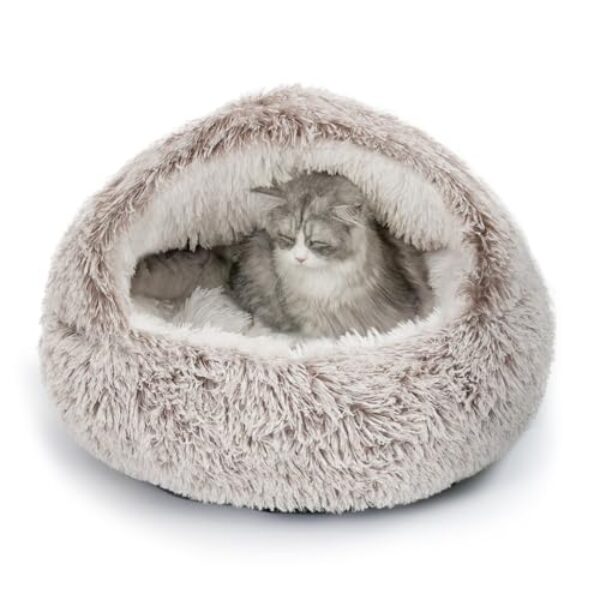 CATISM Katzenbett Waschbar Katzenschlafplatz für Katzen Plüsch Haustier Katzenkopfkissen Katzenkissen Flauschiges Kätzchen Welpen Kuschelbett Haustierbett Kaffeebraun