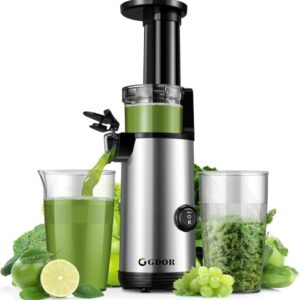 GDOR Hohe Saftausbeute Entsafter Klein Slow Juicer Leistungsstark Entsafter Gemüse und Obst Leicht zu Reinigen Juicer Machine Geräuscharm Kaltentsafter 600ml, Bürste Inklusive, BPA-frei