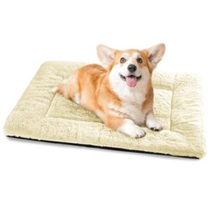 Baodan Hundebett Mittelgroße Kleine Hunde, Hundekissen Waschbar für kleine mittelgroße Hunde, Dog Bed – 75×50 cm Superweich Katzenbett mit Rutschfester Unterseite – Beige