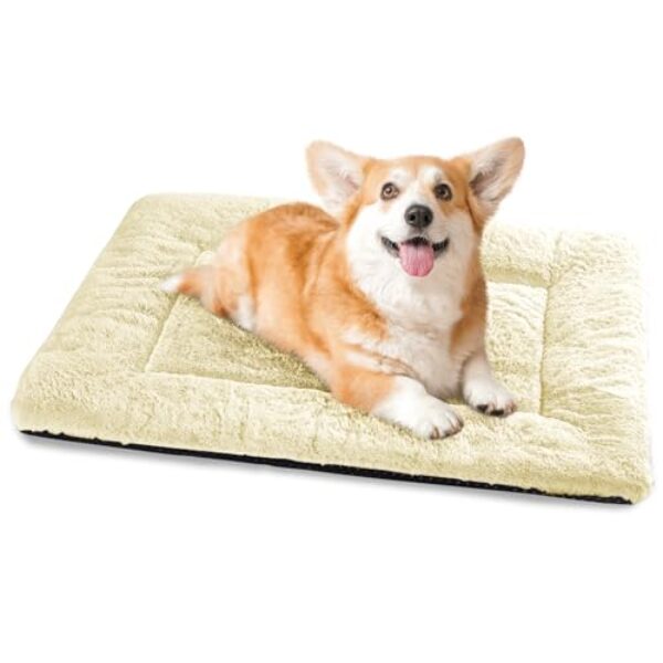 Baodan Hundebett Mittelgroße Kleine Hunde, Hundekissen Waschbar für kleine mittelgroße Hunde, Dog Bed – 75×50 cm Superweich Katzenbett mit Rutschfester Unterseite – Beige