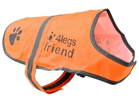 4LegsFriend Hunde Sicherheitsweste (5 Größen, M) – Hohe Sichtbarkeit für Outdoor Aktivitäten Tag und Nacht, Hält den Hund Sichtbar, Sicher vor Autos & Jagtunfällen | Blaze Orange