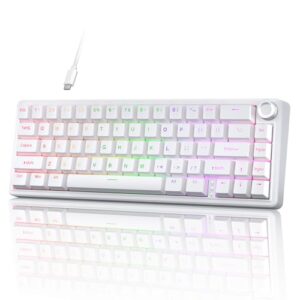 TMKB T68E Gaming Tastatur, 60% Prozent Mechanische Tastatur,Gasket-Struktur mit Knopf, US-Layout, Hot-Swap, RGB, Lineare Schalter, 66 Tasten Kompakt Mini Tastatur für Windows/macOS/Linux –Weiß