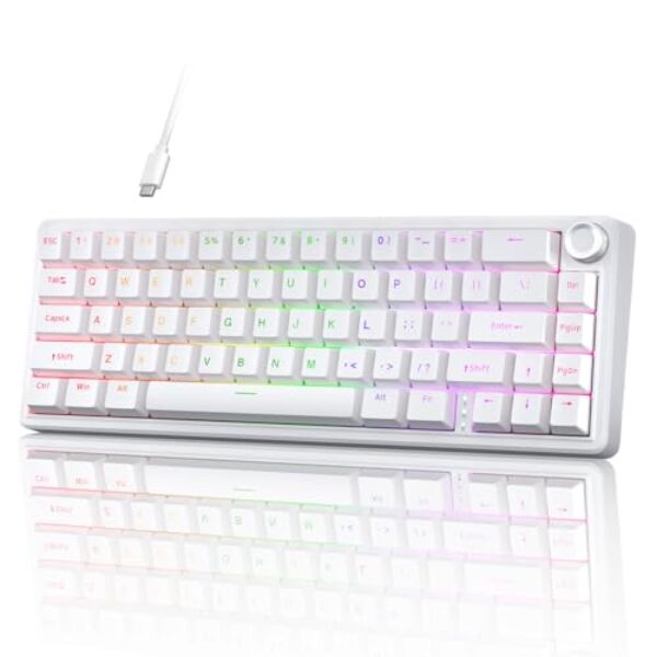 TMKB T68E Gaming Tastatur, 60% Prozent Mechanische Tastatur,Gasket-Struktur mit Knopf, US-Layout, Hot-Swap, RGB, Lineare Schalter, 66 Tasten Kompakt Mini Tastatur für Windows/macOS/Linux –Weiß