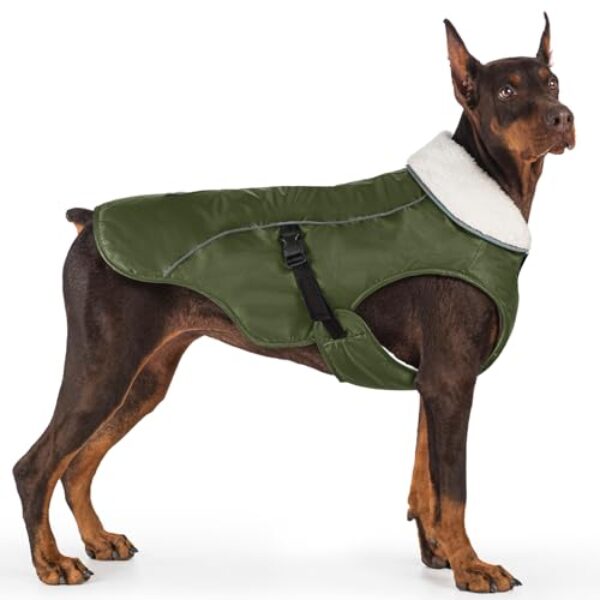 EMUST Winterhundejacke, kuschelige winddichte Hundejacke für kaltes Wetter, einfarbig, für mittelgroße Hunde, Grün, M