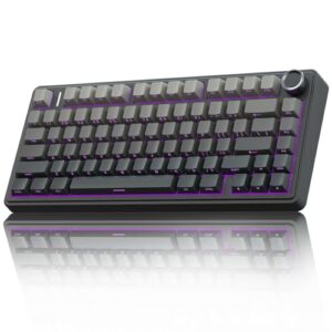 AULA F75 PRO Mechanische Tastatur Gaming,2.4GHz/Type-C/BT5.0 Mechanical Keyboard,Seitlich Graviert,Fünfschichtige Polsterung Struktur,QWERTY,Hot-Swap Kabellos Gaming Tastatur 75 Prozent (Grau)