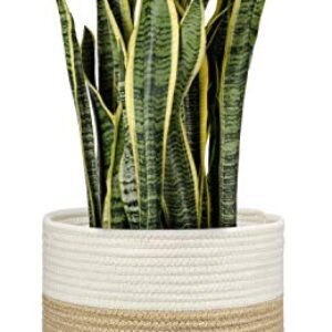 Dahey Jute-gespleißter Baumwollseil-Pflanzkorb, moderner gewebter Aufbewahrungskorb für 25.4 cm Boden-Übertopf, 27.9 x 27.9 cm, dekorativer Blumentopf, rustikale Heimdekoration, weiß und beige
