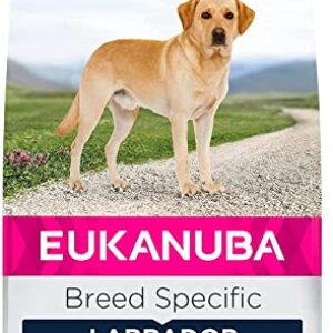 Eukanuba Breed Specific Labrador Retriever Trockenfutter – optimal auf die Rasse abgestimmtes Premium Hundefutter mit Huhn, 12 kg