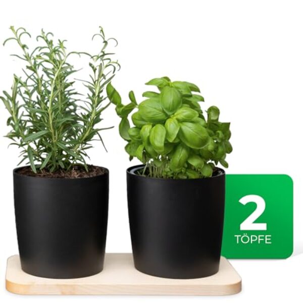 Novaliv Stilvolle Kräuterstation 2er Set mit Holzunterlage und 2 Kräutertöpfe für Jede Fensterbank, Für frische Küchenkräuter, Kräutergarten für die küche, Kräuterbeet Indoor, Blumentopf, Übertopf