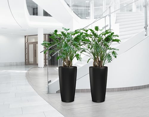 LECHUZA-Pflanzgefäß Rondo Premium 32 Schwarz matt | Pflanzsäule mit Bewässerungssystem, Wasserstandsanzeiger und Pflanzeinsatz | Matte Oberfläche | Ø 32,5 x 56,5 cm | 15785 – Bild 6