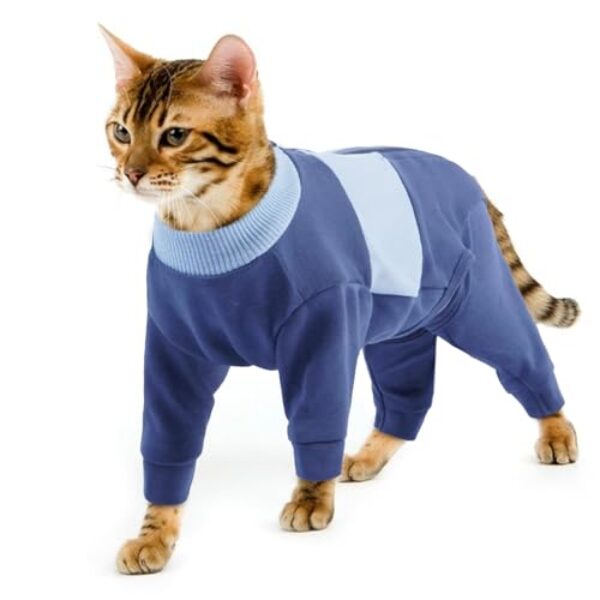 Katzenbekleidung, Katzenbody Nach Op Postoperative Kleidung Anti-Leckende Langarm 4 Beine Einteiler Wunden Oder Operationsstellen Abdecken, Um Lecken Zu Verhindern(Blau, M)