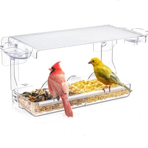 WELDUN Großes Fenster Futterhaus für Vögel 24.5x10x14cm(LxWxH), Vogelhaus mit Vogeltränke, Transparent Abnehmbar Vogelfutterspender mit 2 Zellen, für kleine Wildvögel