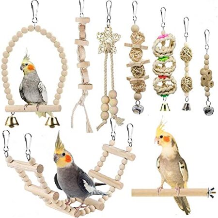 YIXUND Vogelspielzeug für Sittiche, Papageienschaukel, Stehsitzstange, Kletterleiter für Wellensittiche, Sittiche, Nymphensittiche, Mynah, Liebesvögel, Finken
