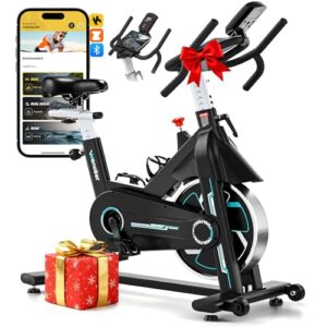 WENOKER Heimtrainer Fahrrad mit App, Leises Hometrainer Fahrrad Mit Gebogenem Griff, Bequem Ergometer Heimtrainer mit LCD-Display, Tablet-Halterung, Bis 160KG