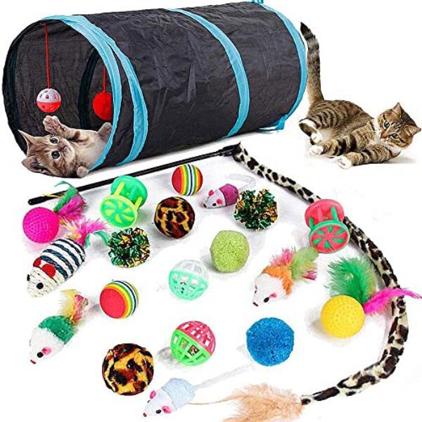 Speedy Panther 21 Stücke Katzenspielzeug Set Katzentunnel Interaktives Katzen Spielzeug für Kätzchen Federspielzeug Katzenbälle Spielzeugmäuse