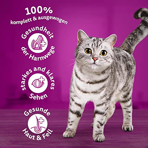WHISKAS Adult 1+ Katzenfutter trocken - ab 1 Jahr - 7kg, Großpackung - mit Huhn - Trockenfutter für Katzen - 1 Beutel – Bild 4