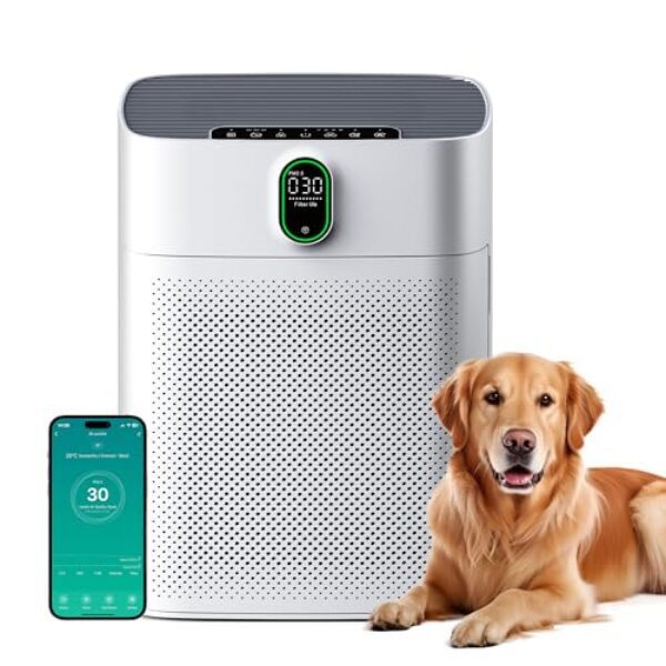 MERONTE Luftreiniger für Raucherräume, Allergikerfreundlich, HEPA Filter Gegen Staub Pollen, CADR 300 m³/h für 100 m², 24 dB Leise, Timer, Luftqualitäts-Feedback & Automodus, Matweiß, 1 Pack + 3 Modi