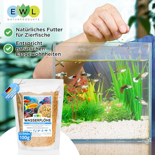 EWL Naturprodukte Wasserflöhe getrocknet, 625ml (100g) Fischfutter Aquarium, Daphnia Zierfischfutter Aquarium, geprüfte Qualität von deutschem Anbieter EWL – Bild 4