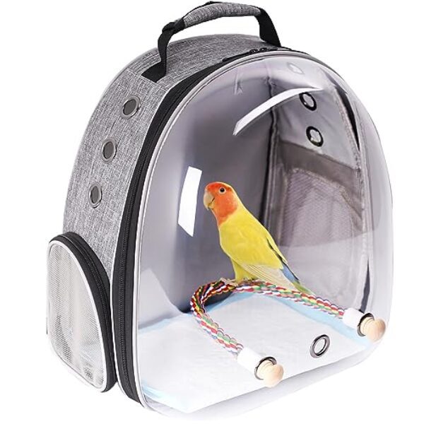 Interfashioner® Bird Carrier Rucksack, Bubble Bird Travel Carrier Backpack with Absorbent Pad and Standing Perch (Feathered Grey)