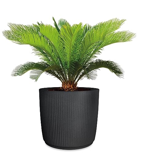 Scheurich Linetto 40, Pflanzgefäß/Blumentopf/Pflanzkübel, rund, Farbe: Stony Black, hergestellt mit recyceltem Kunststoff, 10 Jahre Garantie, für den Außenbereich – Bild 5