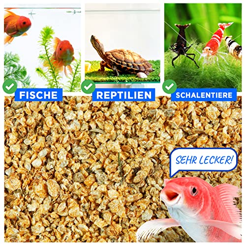 EWL Naturprodukte Wasserflöhe getrocknet, 625ml (100g) Fischfutter Aquarium, Daphnia Zierfischfutter Aquarium, geprüfte Qualität von deutschem Anbieter EWL – Bild 5