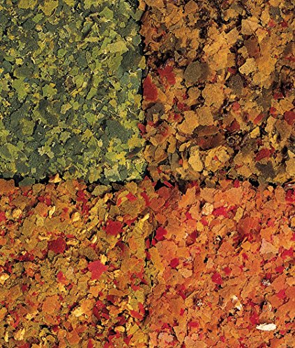 Tetra Min Menu Fischfutter - Hauptfuttermix mit 4 Spezialflocken in getrennten Kammern, abwechslungsreiches Futter für alle Zierfische, 100 ml Dose – Bild 4