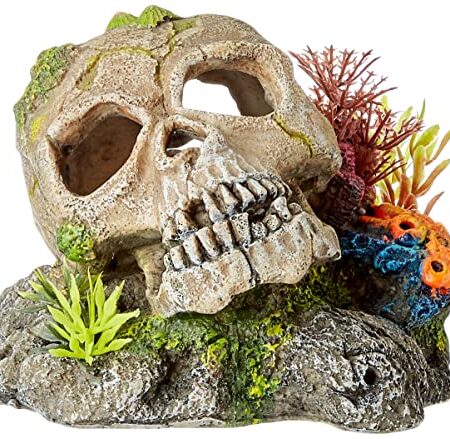 Nobby Aqua Ornaments Totenkopf mit Pflanzen, 13,5 x 13,5 x 10,5 cm, 1 Stück