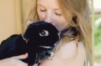 Wie machen intelligente Haustierprodukte die Haustierhaltung einfacher und bequemer?