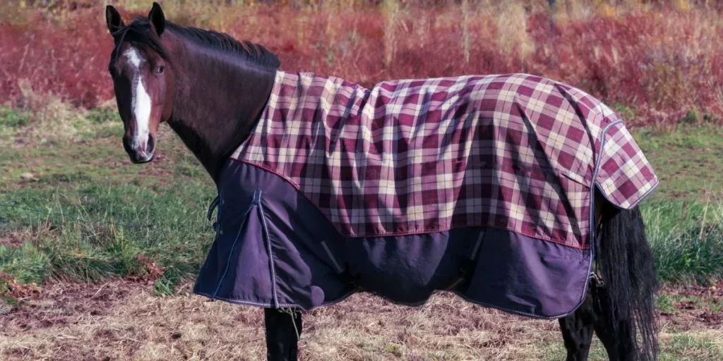 Wie wählt man die richtige Pferdedeckengröße aus?