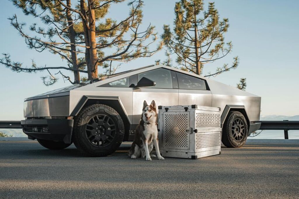 Wie wählt man die richtige Hundebox für die Reise aus?